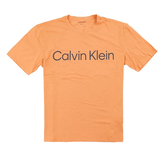 Calvin Klein Letter Logo Daily Casual T-Shirt