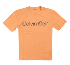 Calvin Klein Letter Logo Daily Casual T-Shirt