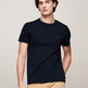 Flag Interlock T-Shirt